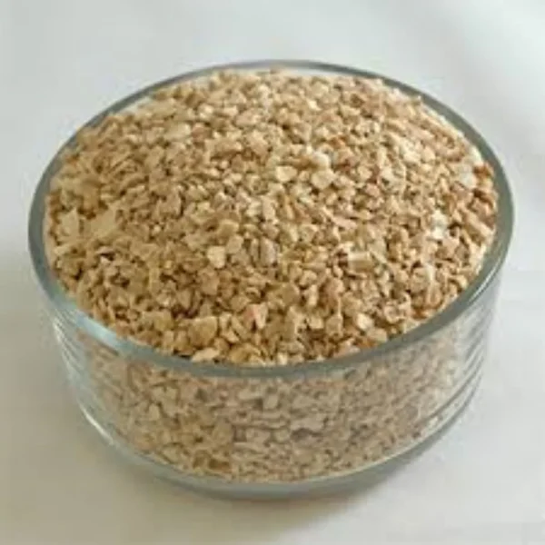 sarvaayush Ginger TBC