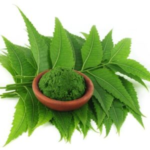 Sarvaayush Neem Powder
